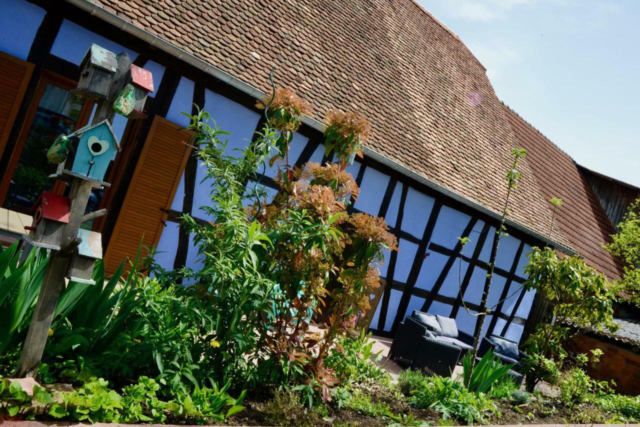 Le Clos Bleu - Gite Rural Schillersdorf 外观 照片