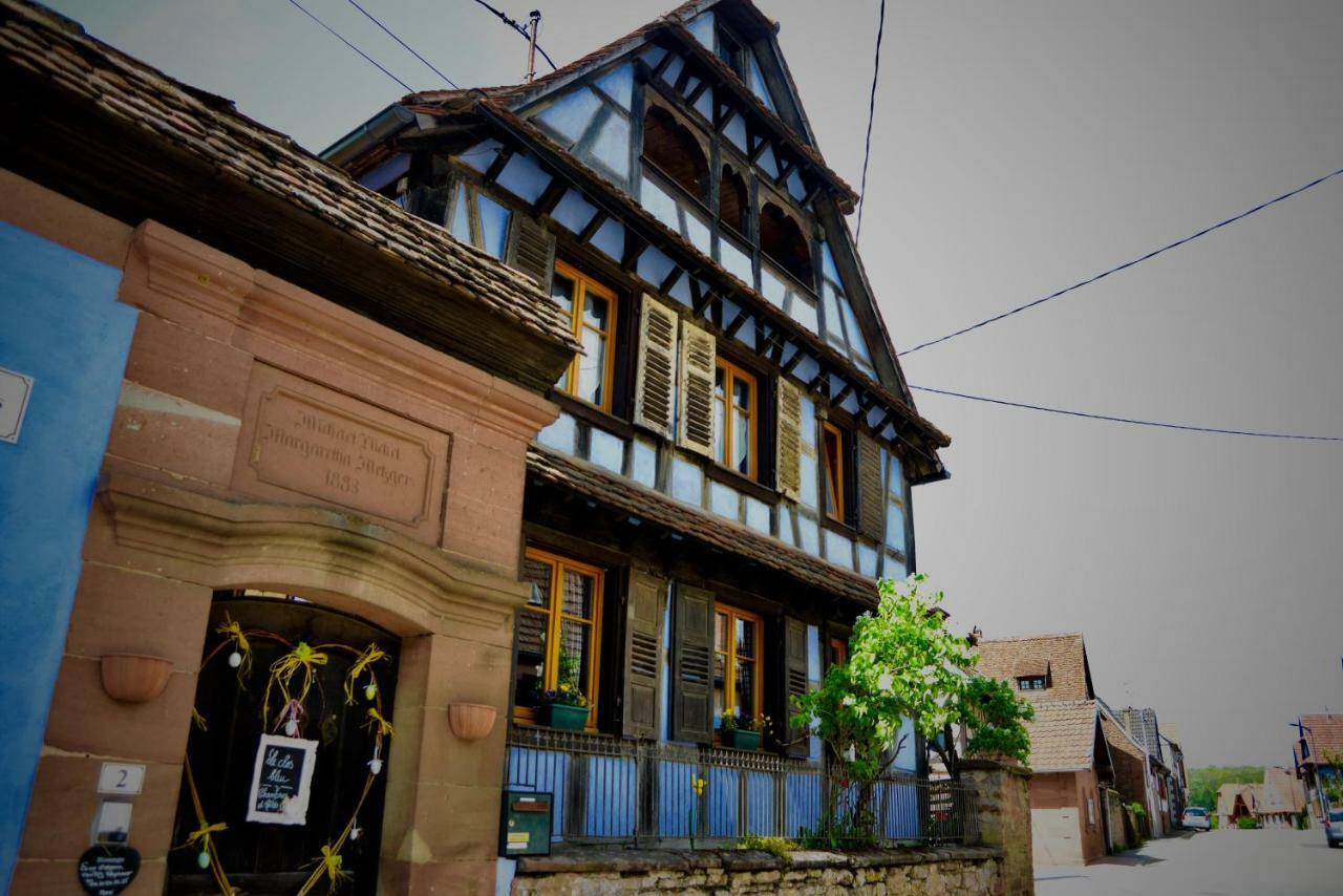Le Clos Bleu - Gite Rural Schillersdorf 外观 照片